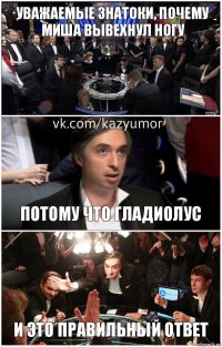 Уважаемые знатоки, почему миша вывехнул ногу Потому что гладиолус И это правильный ответ