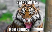 не трогайте мои волосы!!!!!!!!!!!!