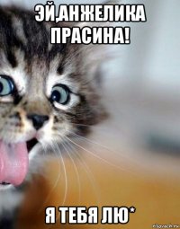 эй,анжелика прасина! я тебя лю*