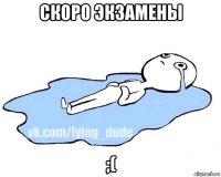 скоро экзамены ;(