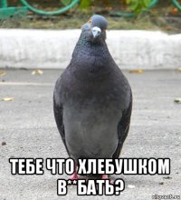  тебе что хлебушком в**бать?