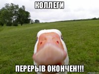 коллеги перерыв окончен!!!