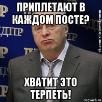 приплетают в каждом посте? хватит это терпеть!