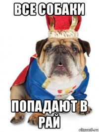 все собаки попадают в рай