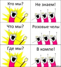 Кто мы? Не знаем! Что мы? Розовые челы Где мы? В компе!