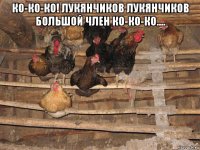 ко-ко-ко! лукянчиков лукянчиков большой член ко-ко-ко.... 