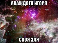 у каждого игоря своя эля