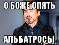 о боже опять альбатросы