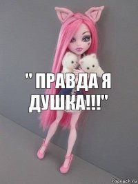 " Правда я душка!!!"