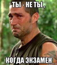 ты - не ты , когда экзамен