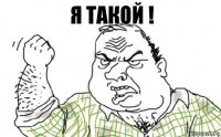 Я такой !