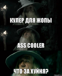 кулер для жопы ass cooler что за хуйня?