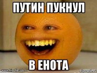 путин пукнул в енота