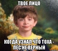 твое лицо когда узнал что тоха - пёс не верный