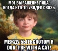 мое выражение лица, когда кто-то увидел связь между бытьскотом и don`t be with a cat!