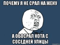 почему я не срал на жену а обосрал кота с соседней улицы