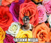  чаткий міша