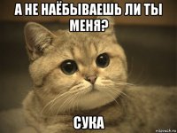 а не наёбываешь ли ты меня? сука