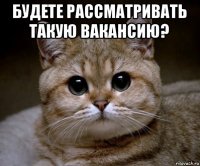 будете рассматривать такую вакансию? 