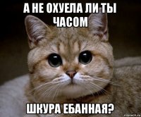 а не охуела ли ты часом шкура ебанная?