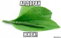 алдоран живи!