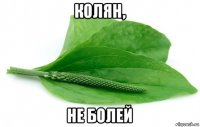 колян, не болей