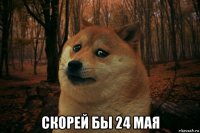  скорей бы 24 мая