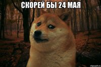 скорей бы 24 мая 