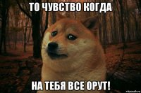 то чувство когда на тебя все орут!