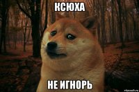 ксюха не игнорь