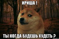 ириша ! ты когда будешь худеть ?