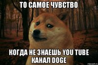 то самое чувство когда не знаешь you tube канал doge