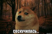  соскучилась...