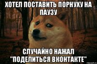 хотел поставить порнуху на паузу случайно нажал "поделиться вконтакте"