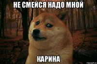 не смейся надо мной карина