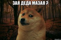 зая деда мазая ? 