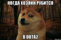 когда хозяин рубится в dota2