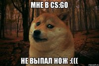 мне в cs:go не выпал нож :(((