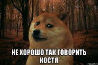  не хорошо так говорить костя