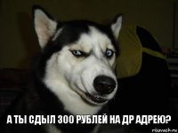 А ты сдыл 300 рублей на ДР Адрею?