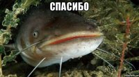 спасибо 