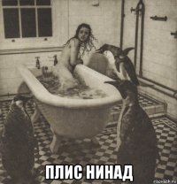  плис нинад