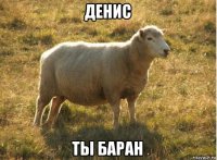 денис ты баран