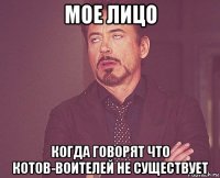 мое лицо когда говорят что котов-воителей не существует