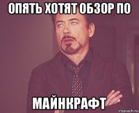 опять хотят обзор по майнкрафт