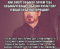 как зовут собаку? зачем тебе собака?а ваша собачка кусается? а ваша собачка хорошая? это же у вас, как у путина, да?" а чем кормите? а сосед моего мужа по бабушкиной линии имел собаку и она была... а сколько стоит? а как ты будешь справляться с детьми? а вы замужем?