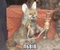  львiв