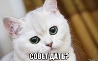  совет дать?