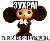 зухра! улыбнись чебурашке