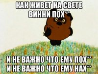 как живет на свете винни пох** и не важно что ему пох** и не важно что ему нах**